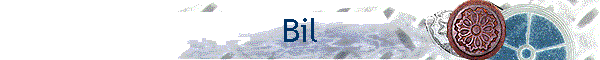 Bil